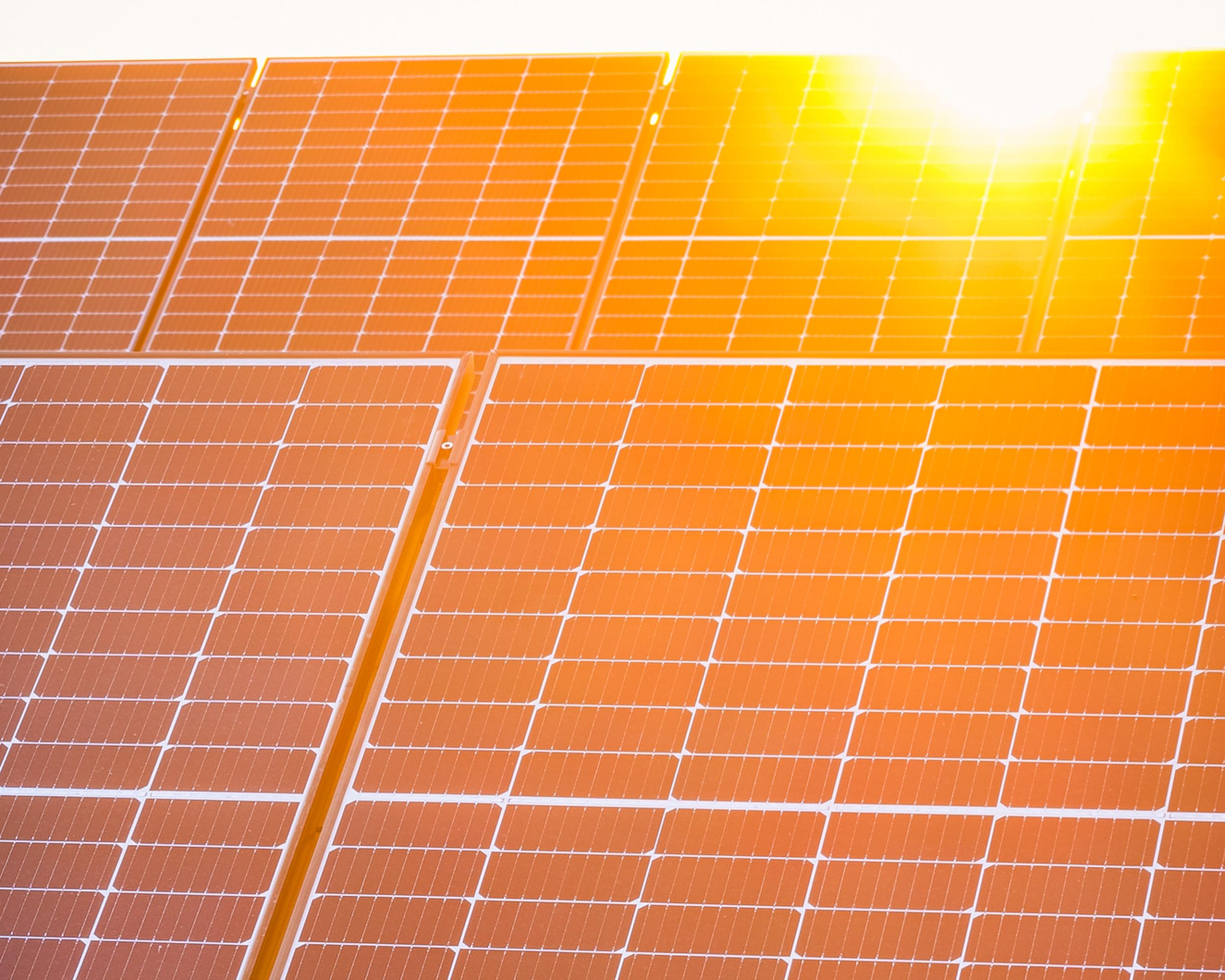 Solpaneler fångar solljus i gryningen för hållbar energiutvinning