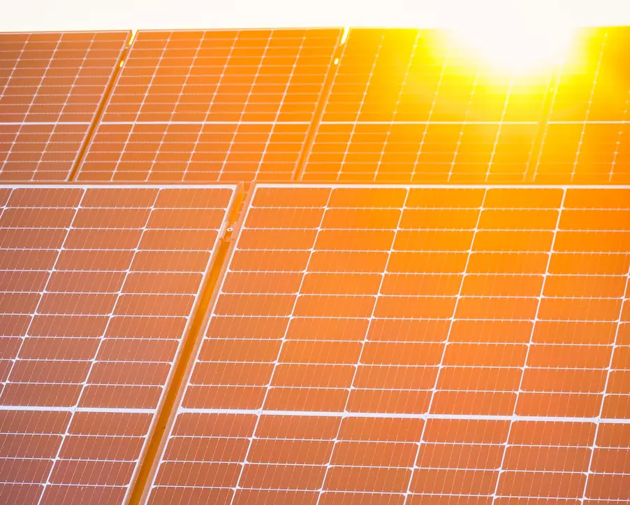 Solpaneler fångar solljus i gryningen för hållbar energiutvinning