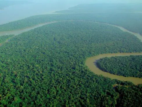 Luftvy över Amazonas regnskog med slingrande flod
