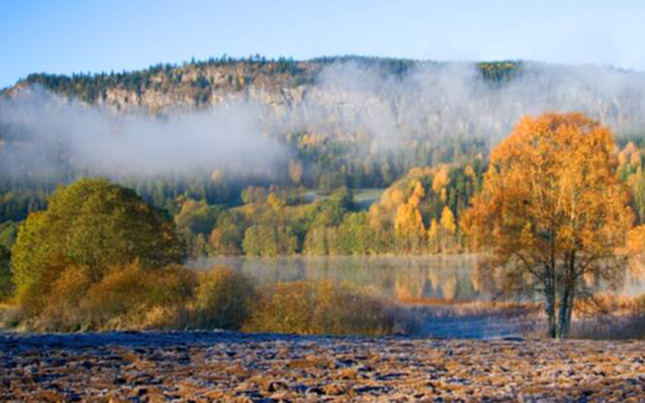 Höstlandskap i Sverige med färgglada träd, dimma över en sjö och en bakgrund av höga berg