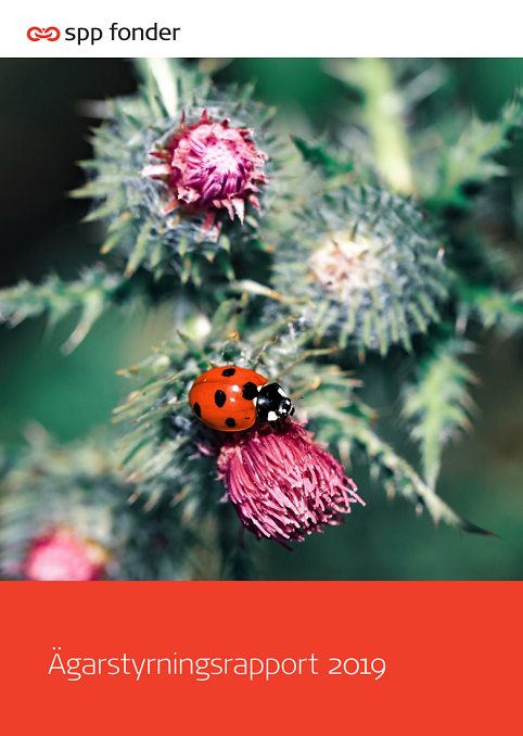 Nyckelpiga på rosa tistelblomma, omslagsbild till SPP Fonders Ägarstyrningsrapport 2019